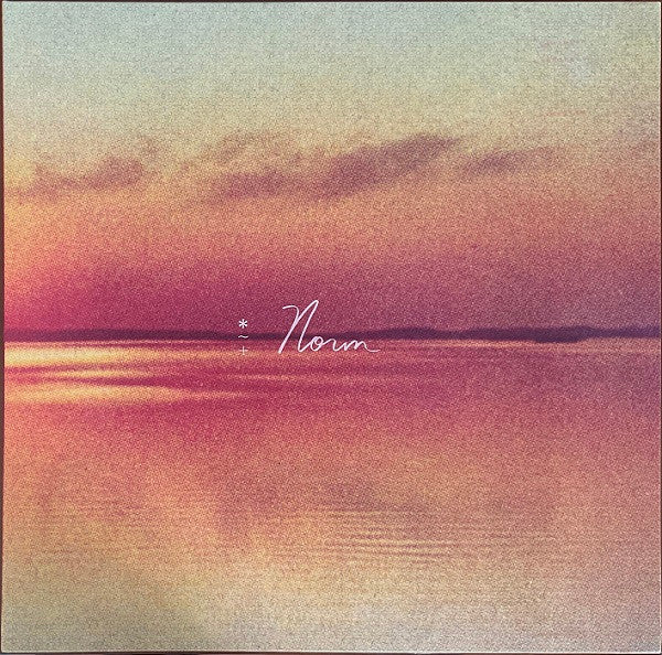 Andy Shauf – Norm 🇺🇸