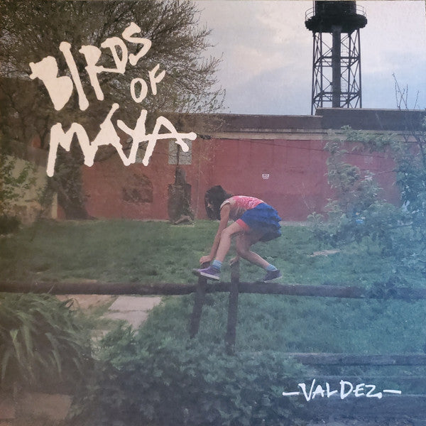 Birds Of Maya – Valdez 🇺🇸
