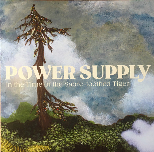 Power Supply – In the Time of the Sabre-toothed Tiger 🇺🇸