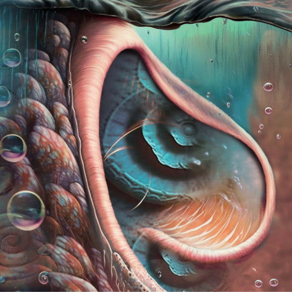 Various Artists – Meddle Reimgained - A Tribute To Pink Floyd (Blue Vinyl) 🇺🇸