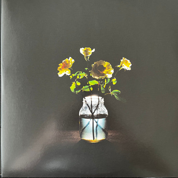 Billy Strings – Renewal (2LP/180G) 🇺🇸