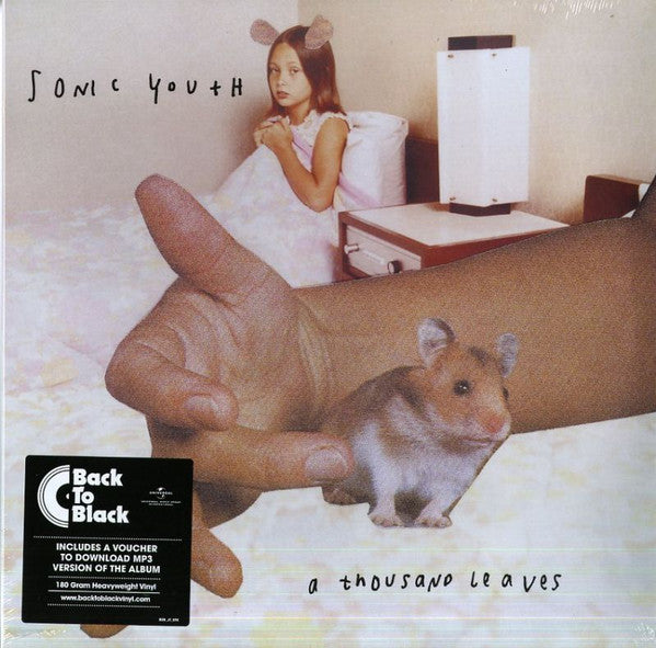 Sonic Youth – Thousand Leaves 🇺🇸