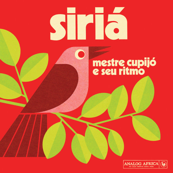 Mestre E Seu Ritmo Cupijo – Siria 🇺🇸