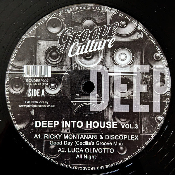 Various Artists – Deep into House VOL. 3 🇺🇸