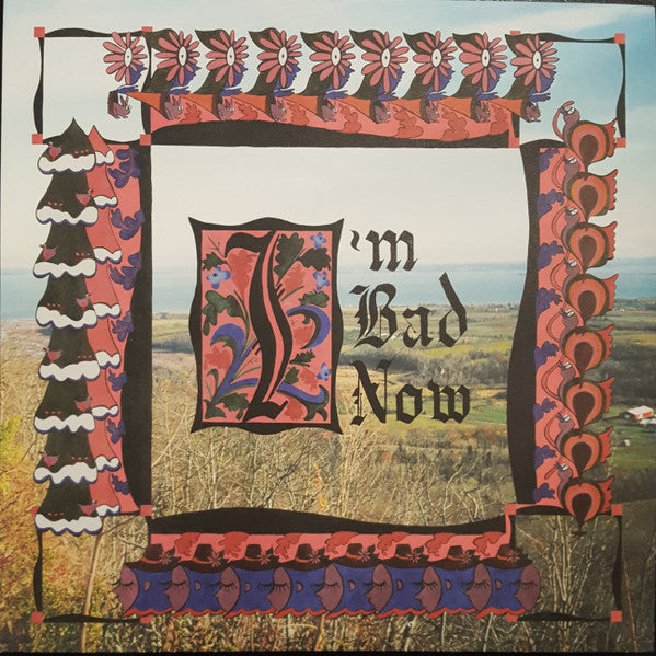 Nap Eyes – I'm Bad Now 🇺🇸