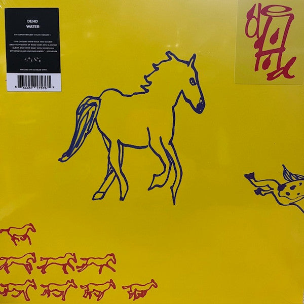 Dehd – Water (Ice Blue Vinyl) (I) 🇺🇸