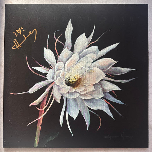 Heather Maloney – Exploding Star 🇺🇸