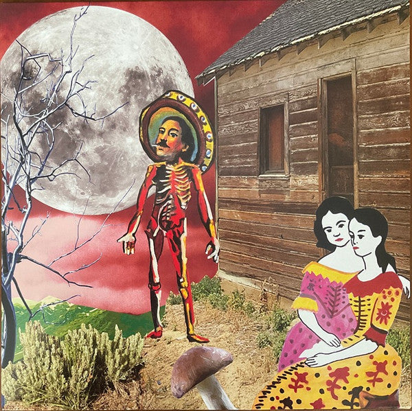 Silkworm – In The West (2Lp/Insert/Dl Card) 🇺🇸