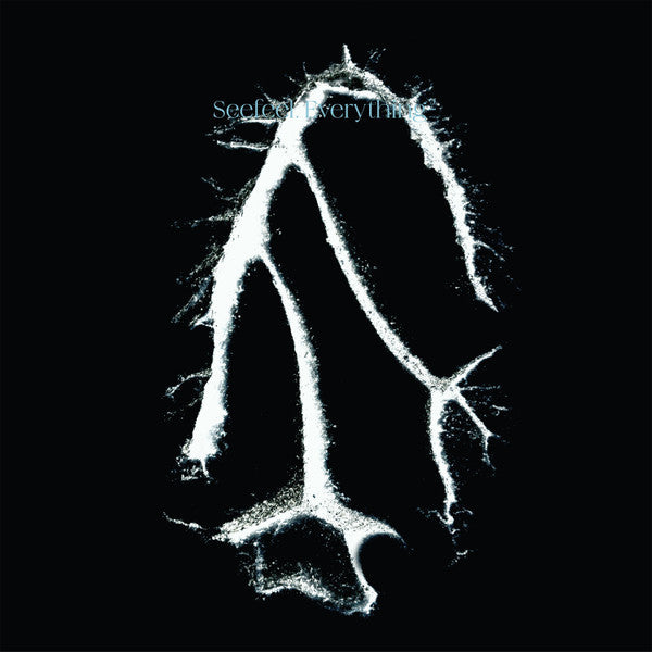Seefeel – Everything Squared (EP) 🇺🇸