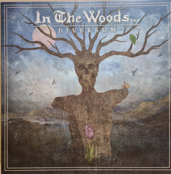 In the Woods – Diversum 🇺🇸