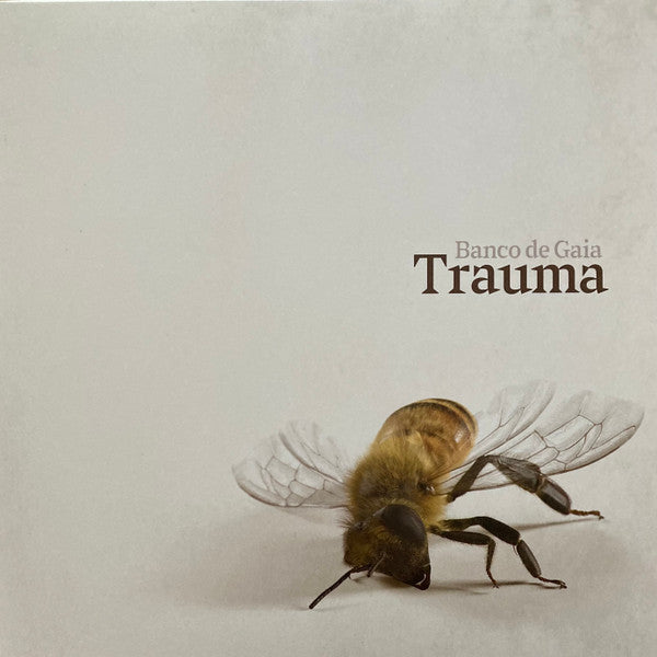 Banco De Gaia – Trauma 🇺🇸