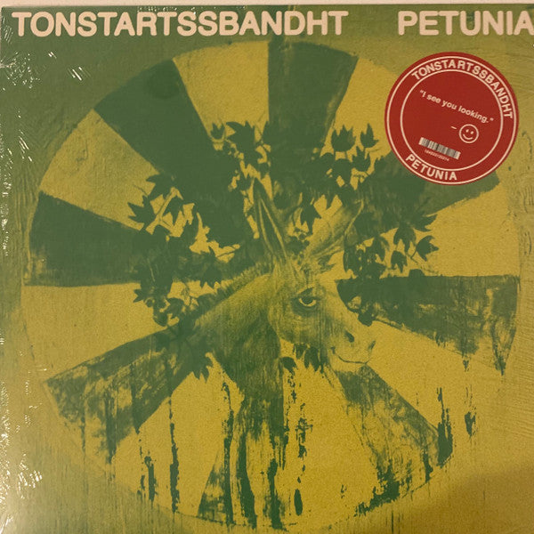 Tonstartssbandht – Petunia 🇺🇸