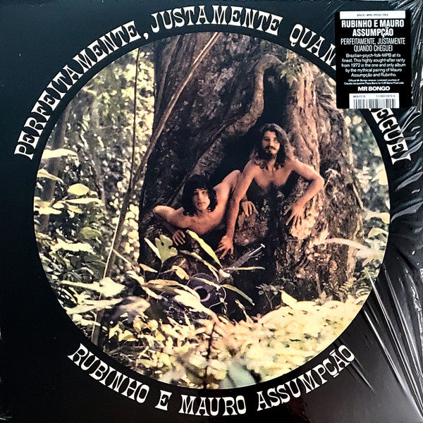 Rubinho E  Mauro Assumpcao – Perfeitamente, Justamente Quando Cheguei 🇺🇸