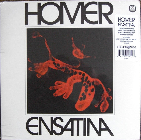 Homer – Ensatina 🇺🇸