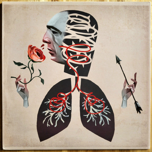 Hot Water Music – Vows (Trans Black Vinyl) 🇺🇸