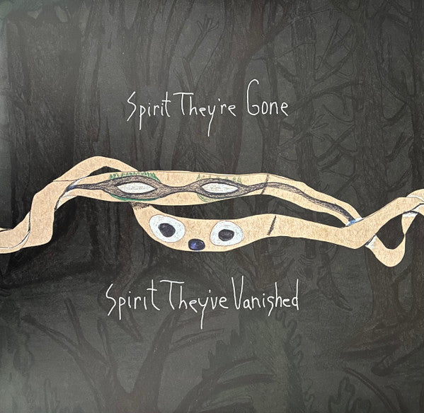 Animal Collective – Spirit They're Gone, Spirit They've Vanished (Grass Green Vinyl/2LP) (I) 🇺🇸