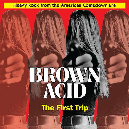 Various Artists – Brown Acid - the First Trip 🇺🇸