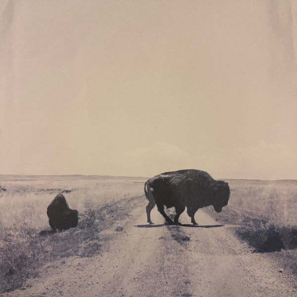 Big Harp – Runs to Blue (Opaque Blue Vinyl) 🇺🇸
