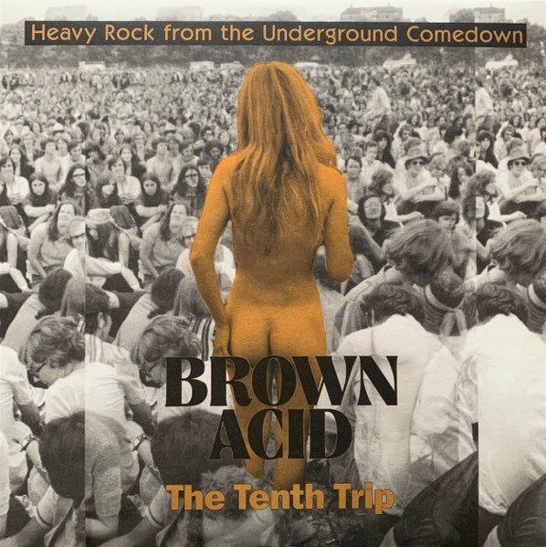 Various Artists – Brown Acid: the Tenth Trip 🇺🇸