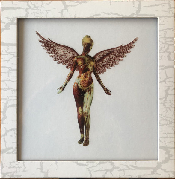 Nirvana – In Utero (30TH Anniversary) (8LP) 🇺🇸