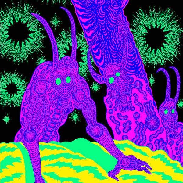 Osees – Abomination Revealed at Last 🇺🇸