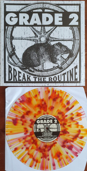 Grade 2 – Break the Routine 🇺🇸