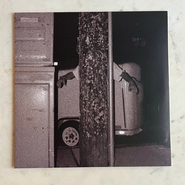 Paper Tiger – All Over the Place (Opaque White Vinyl) 🇺🇸