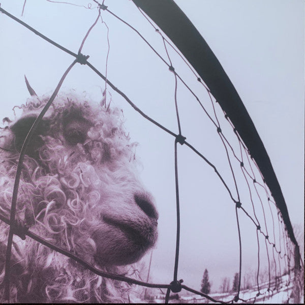 Pearl Jam – Vs. (30TH Anniversary Edition) (Trasparent Vinyl) 🇺🇸