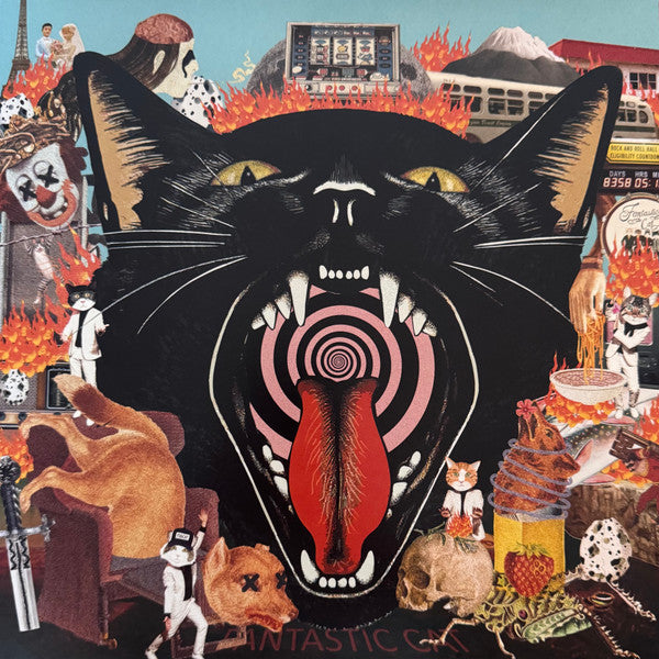 Fantastic Cat – Cat Out of Hell 🇺🇸