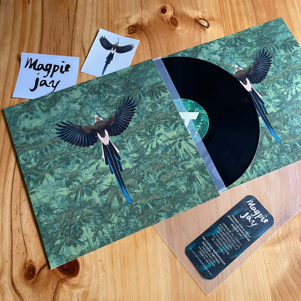 Magpie Jay - Urraca [Edición limitada 100 copias]