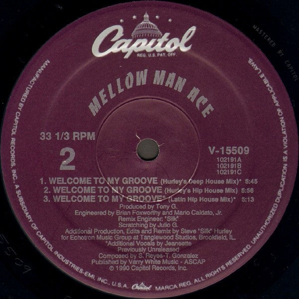 Mellow Man Ace ‎– Mentirosa [Maxi Single 12"] (Usado)