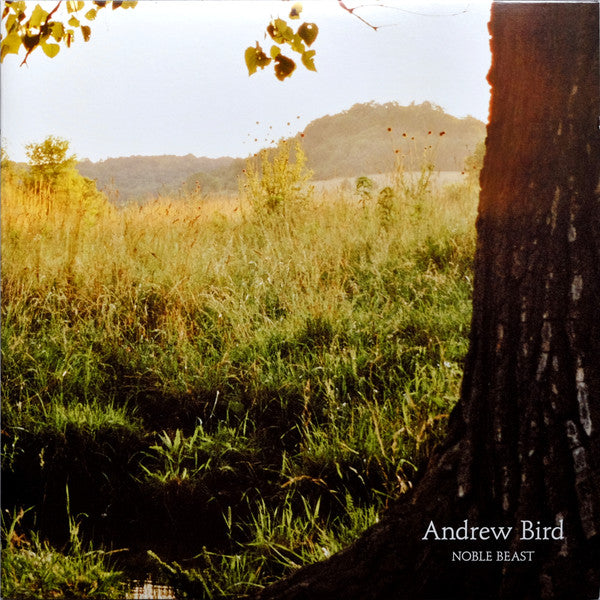Andrew Bird – Noble Beast 🇺🇸