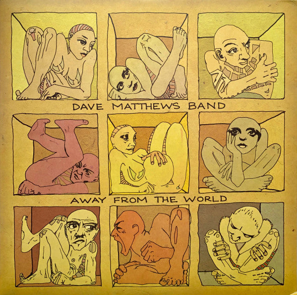 Dave Matthews Band – Away from the World (2LP/DL Card/150G/Clear Vinyl/Gatefold)(dl Code) 🇺🇸
