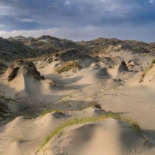 White Manna – Dune Worship 🇺🇸