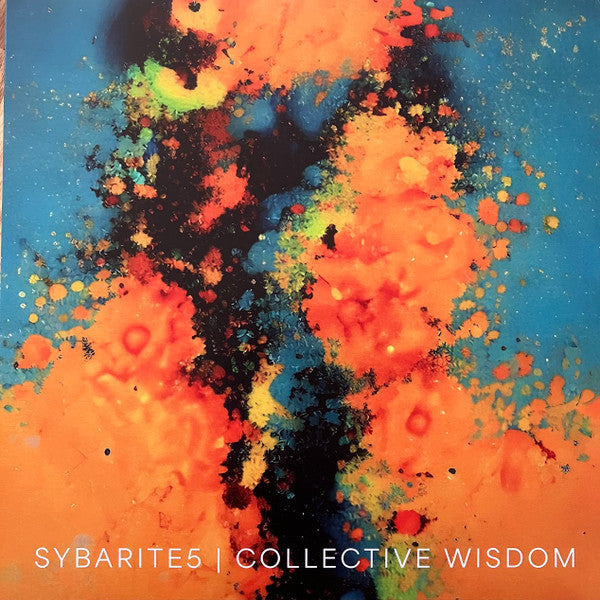 Sybarite5 – Collective Wisdom 🇺🇸