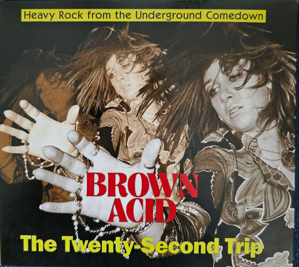 Various Artists – Brown Acid - The Twenty-Second Trip [CD Nuevo] 💿 🇺🇸
