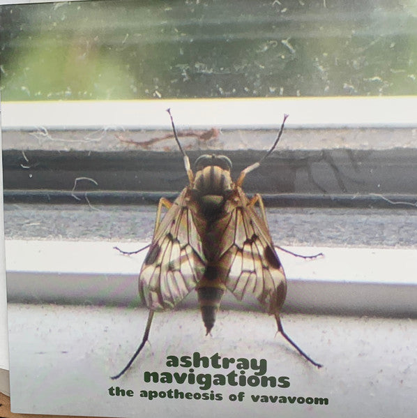 Ashtray Navigations – Apotheosis of Vavavoom 🇺🇸