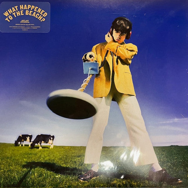 Declan McKenna – What Happened to the Beach? (X) (Yellow Vinyl) (I) 🇺🇸