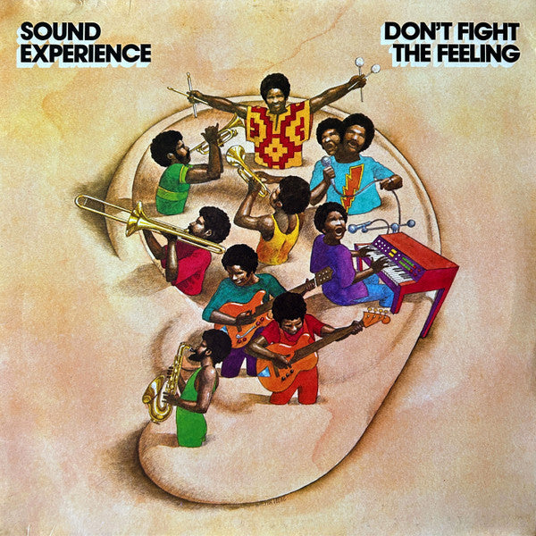 Sound Experience – Don't Fight the Feeling (2LP/Reissue) 🇺🇸