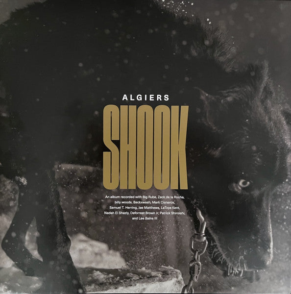Algiers – Shook (2LP) 🇺🇸