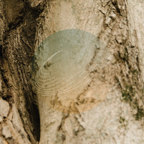 Field Works – Maples Ash & Oaks: Cedars Instrumentals (Iridescent Mother of Pearl W/ Green Undertone) 🇺🇸