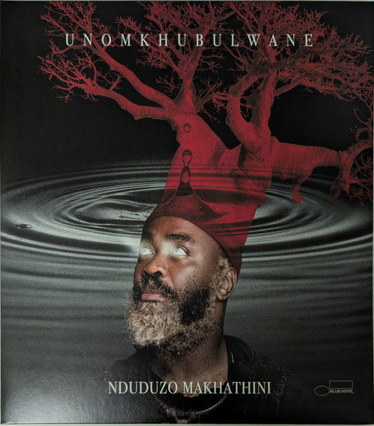 Nduduzo Makhathini – Unomkhubulwane (2LP) 🇺🇸