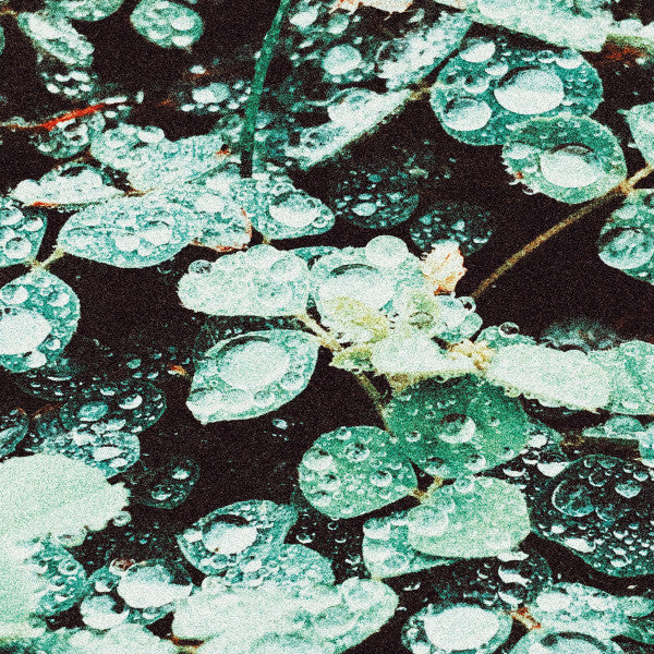 Sadness – Rain Chamber (Glow in the Dark Vinyl) 🇺🇸