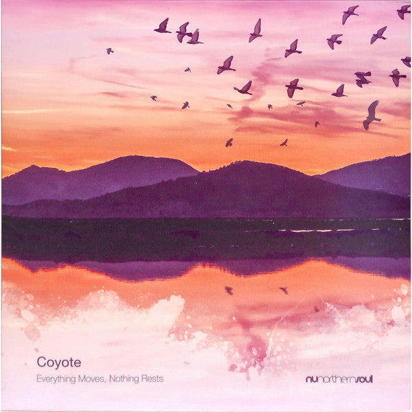 Coyote – Everything Moves, Nothing Rests 🇺🇸
