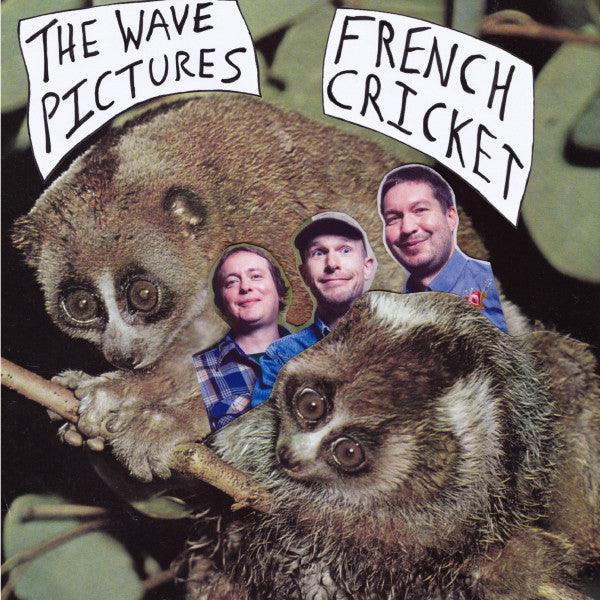 Wave Pictures – French Cricket (2x7inch) 🇺🇸