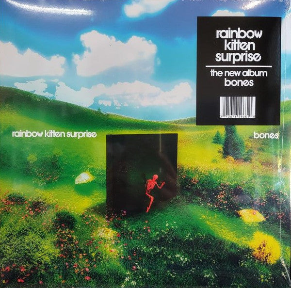 Rainbow Kitten Surprise – Bones 🇺🇸