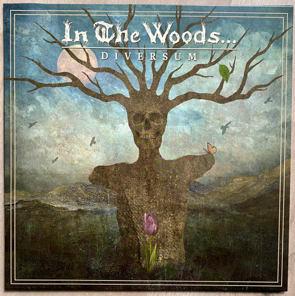In the Woods – Diversum (Limited/Brown & White Vinyl) 🇺🇸