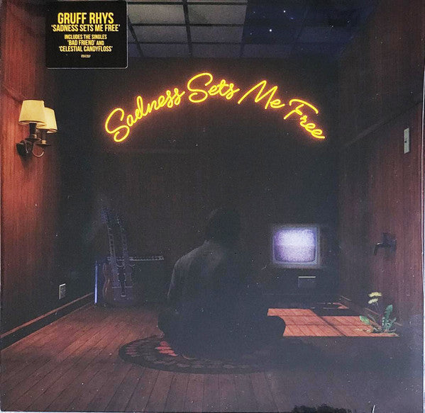 Gruff Rhys – Sadness Sets Me Free 🇺🇸