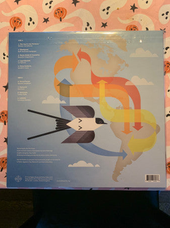 Various Artists – Guide to the Birdsong of Migration 🇺🇸