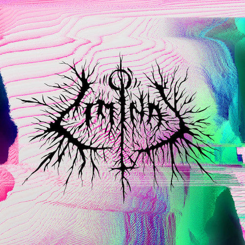 Petbrick – Liminal 🇺🇸
